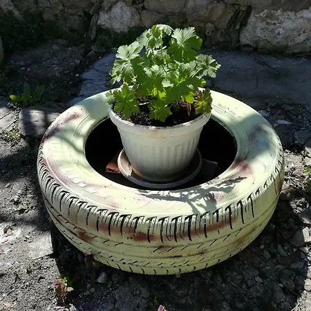 Prázdninový dům Genchevi Veliko Tarnovo