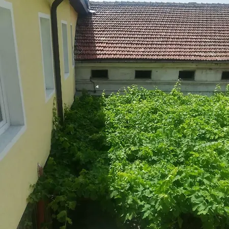 Prázdninový dům Genchevi